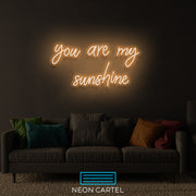 Je bent mijn zonneschijn neon LED-bord
