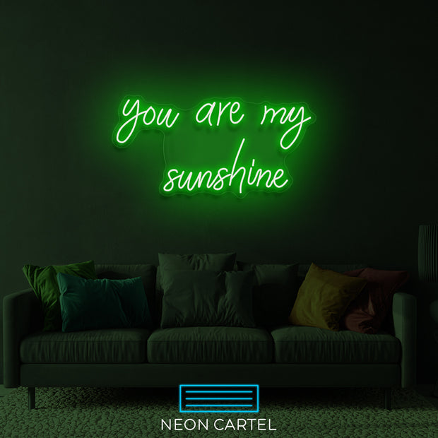 Je bent mijn zonneschijn neon LED-bord
