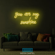 Je bent mijn zonneschijn neon LED-bord