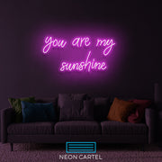 Je bent mijn zonneschijn neon LED-bord