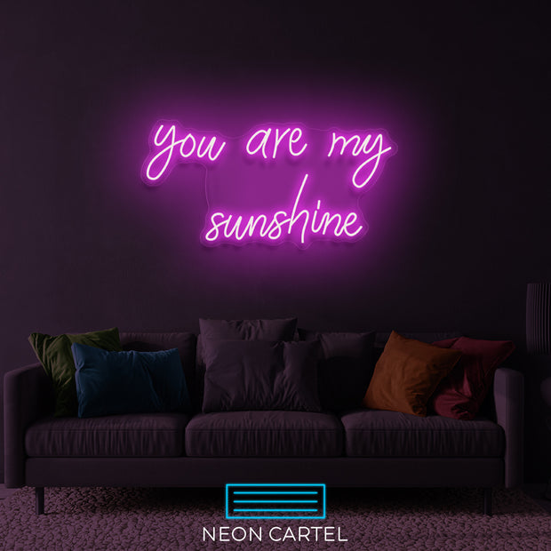 Je bent mijn zonneschijn neon LED-bord