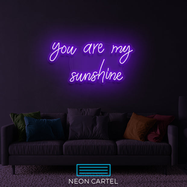 Je bent mijn zonneschijn neon LED-bord