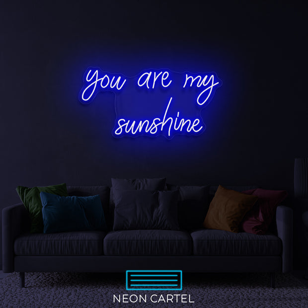Je bent mijn zonneschijn neon LED-bord