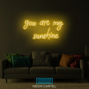 Je bent mijn zonneschijn neon LED-bord