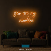 Je bent mijn zonneschijn neon LED-bord