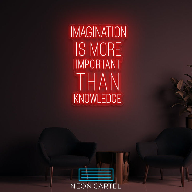 Imagination Is More Important Than Knowledge Neon LED Sign